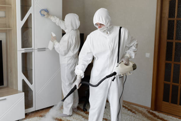 Trusted Odor Removal service in Black Mountain, NC - Four Month Blood Cleanse